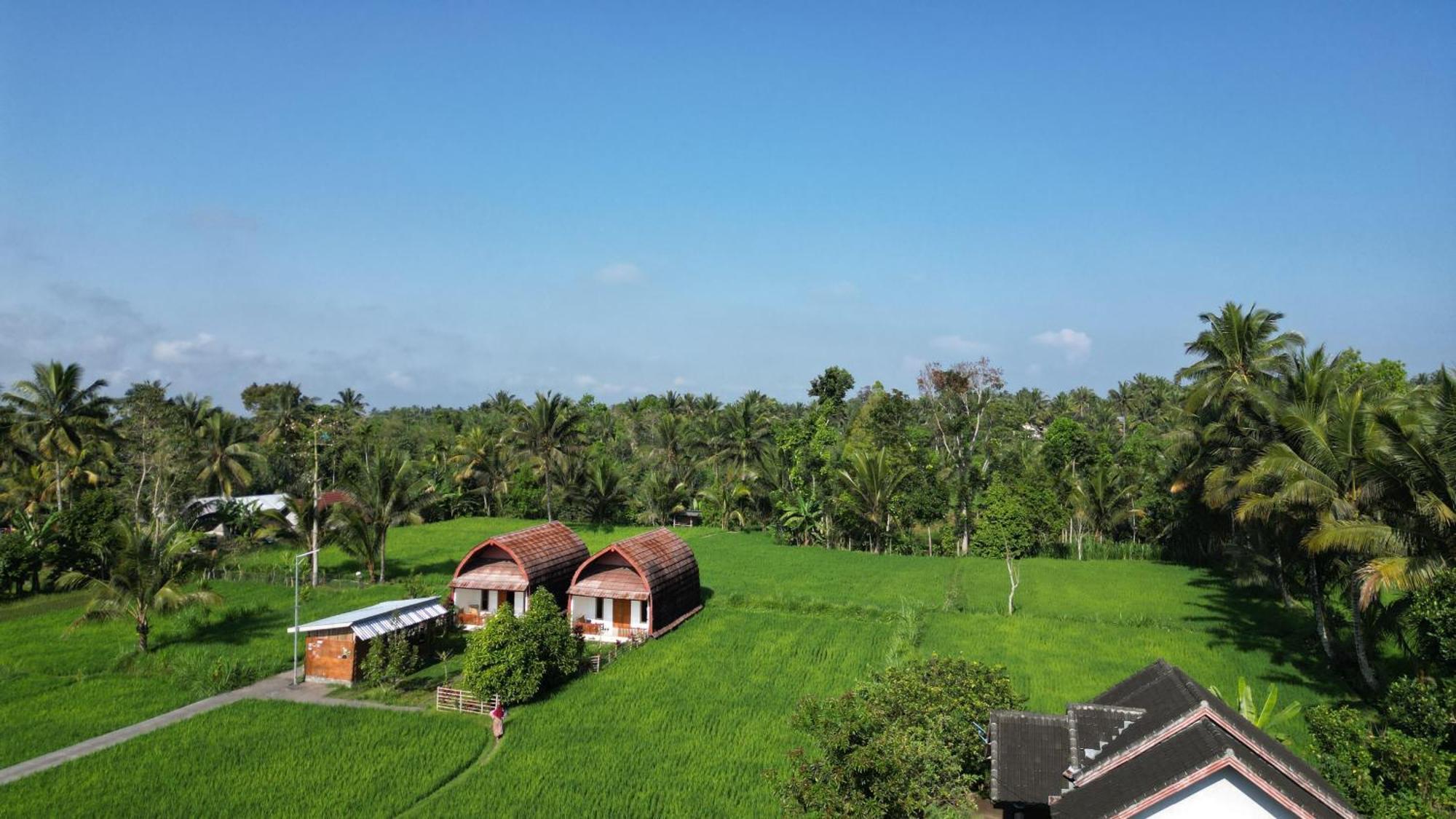 Bale Tetebatu Villa Exterior photo